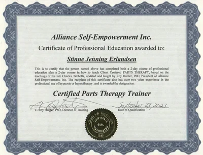 Roy Hunter Parts Therapy